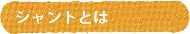 シャントとは