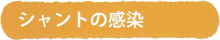 シャントの感染