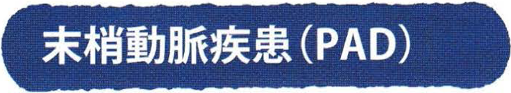 末梢動脈疾患(PAD)